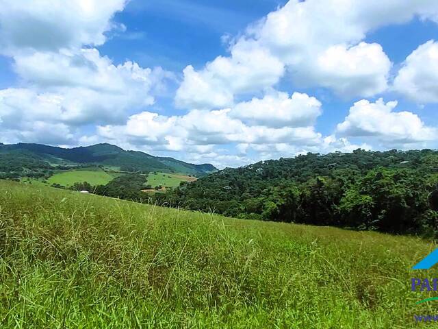 #238 - Terreno Rural para Venda em Brasópolis - MG - 2